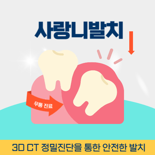 정읍치과 정읍시 치과 사랑니 발치